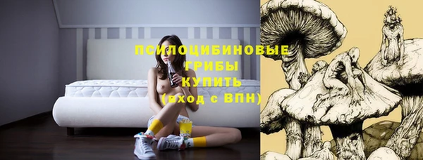 спиды Абинск