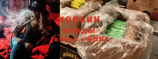 спиды Абинск